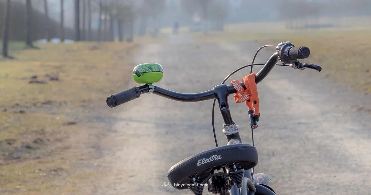 Smart Bike Computer Guide - BicycleCost