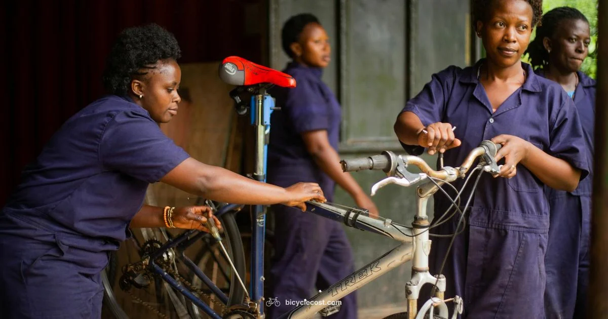 Community Owned Bicycles - BicycleCost