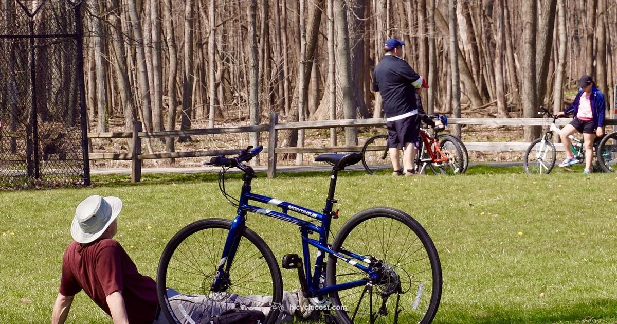 Bike Washing Guide - BicycleCost