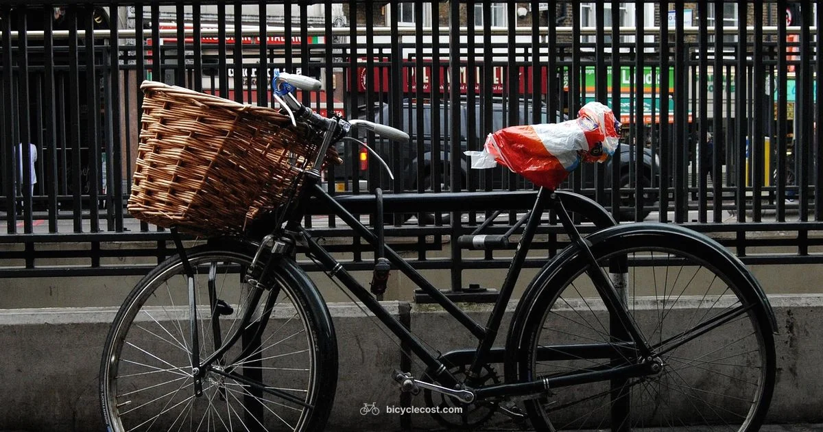 Electric Bike Guide Electric Bike Guide - BicycleCost