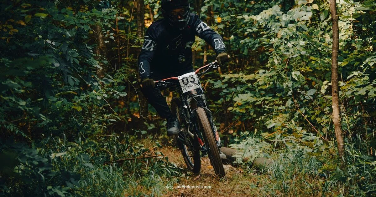 Best Bicycle Trail Near Me - BicycleCost