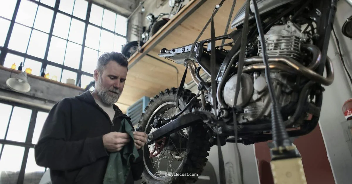 Four Year Lifecycle - BicycleCost