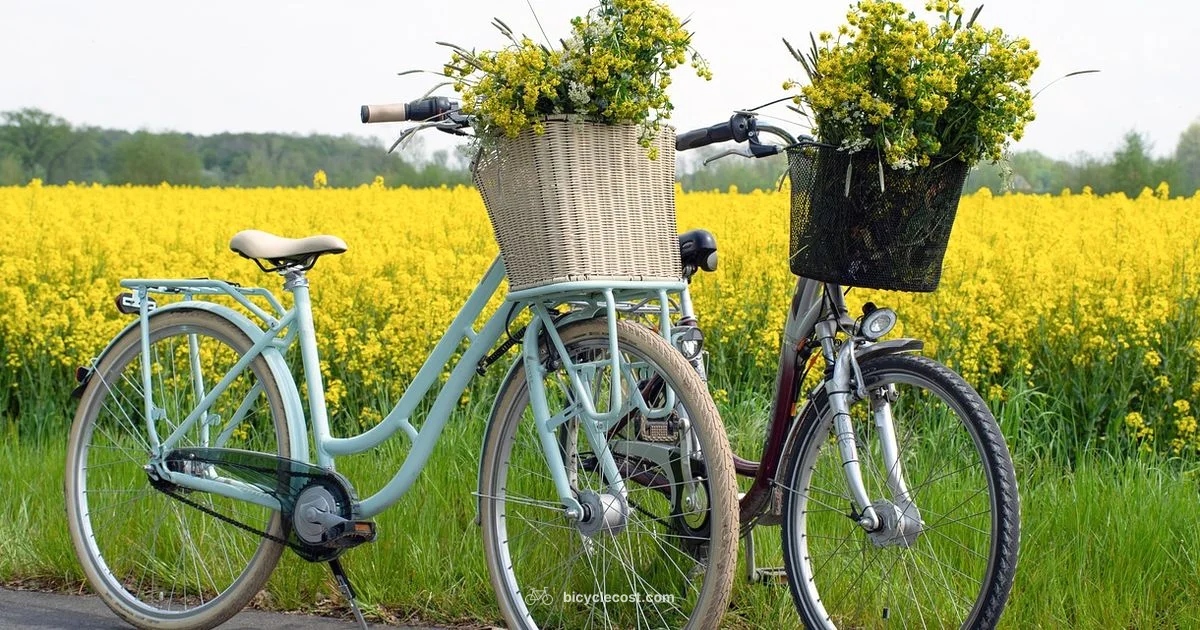 Bicycle Cartoon Guide - BicycleCost