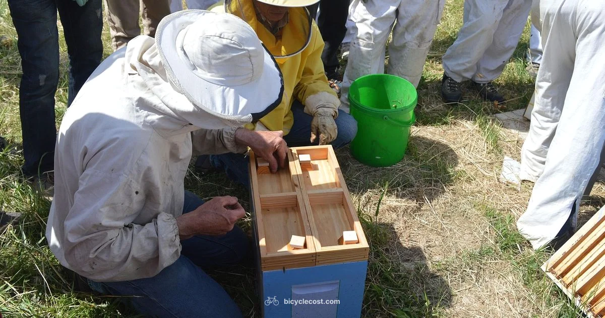 Top Bicycle Brands - BicycleCost