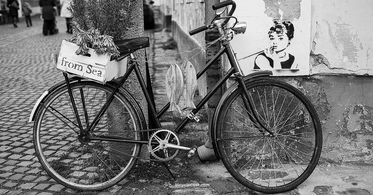 Nearby Bike Shops - BicycleCost