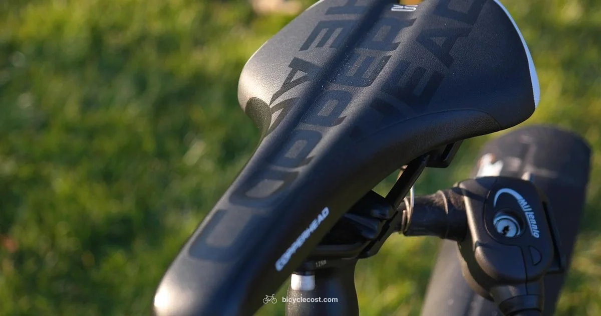 Seat Comfort Fix - BicycleCost