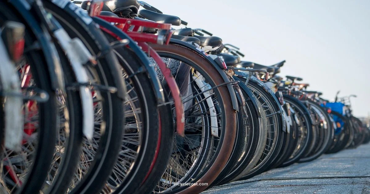 Bikes for Sale Bikes for Sale - BicycleCost