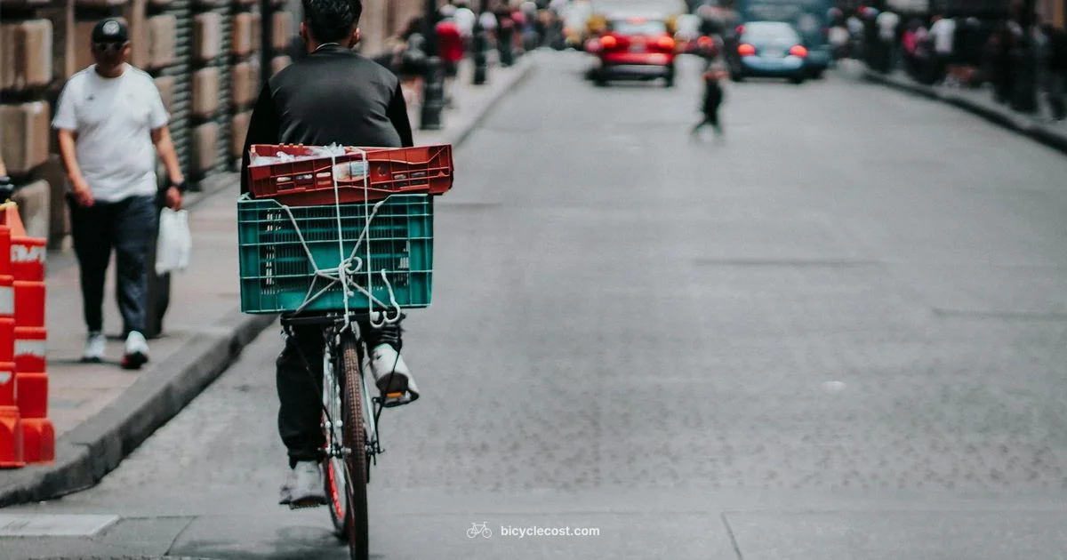 Rear Carrier Guide - BicycleCost