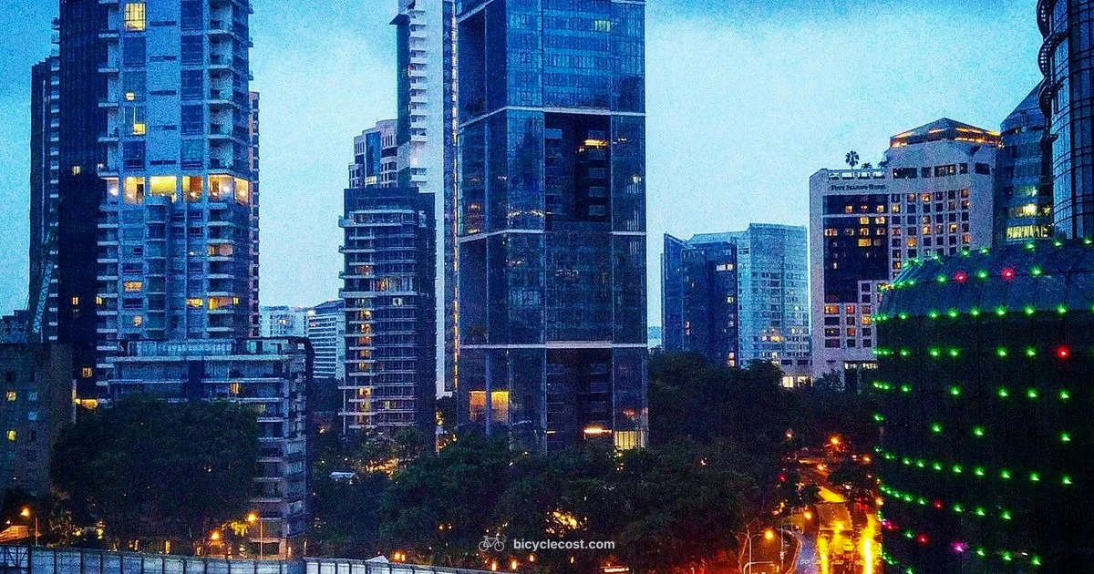 Road Riding Singapore - BicycleCost