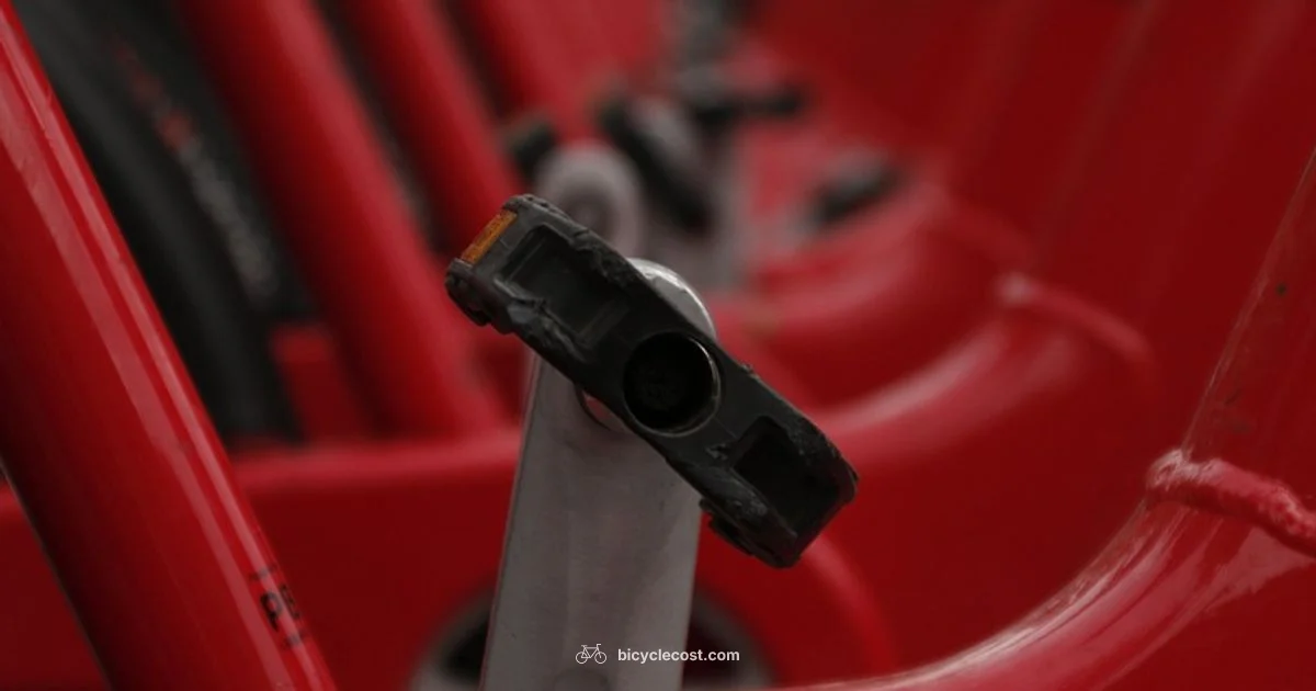 Inflation Essentials - BicycleCost