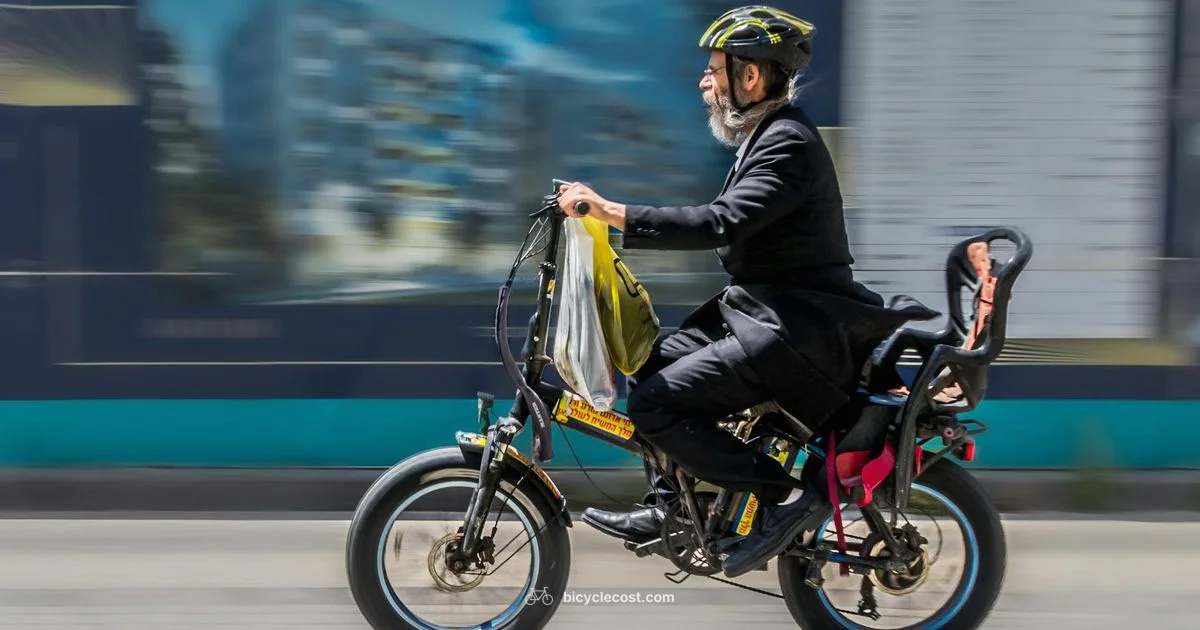 Flyer E-Bike Guide - BicycleCost