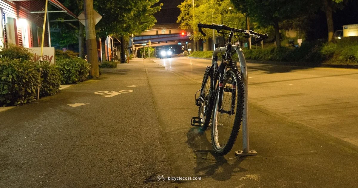 Bike Uses & Purposes - BicycleCost