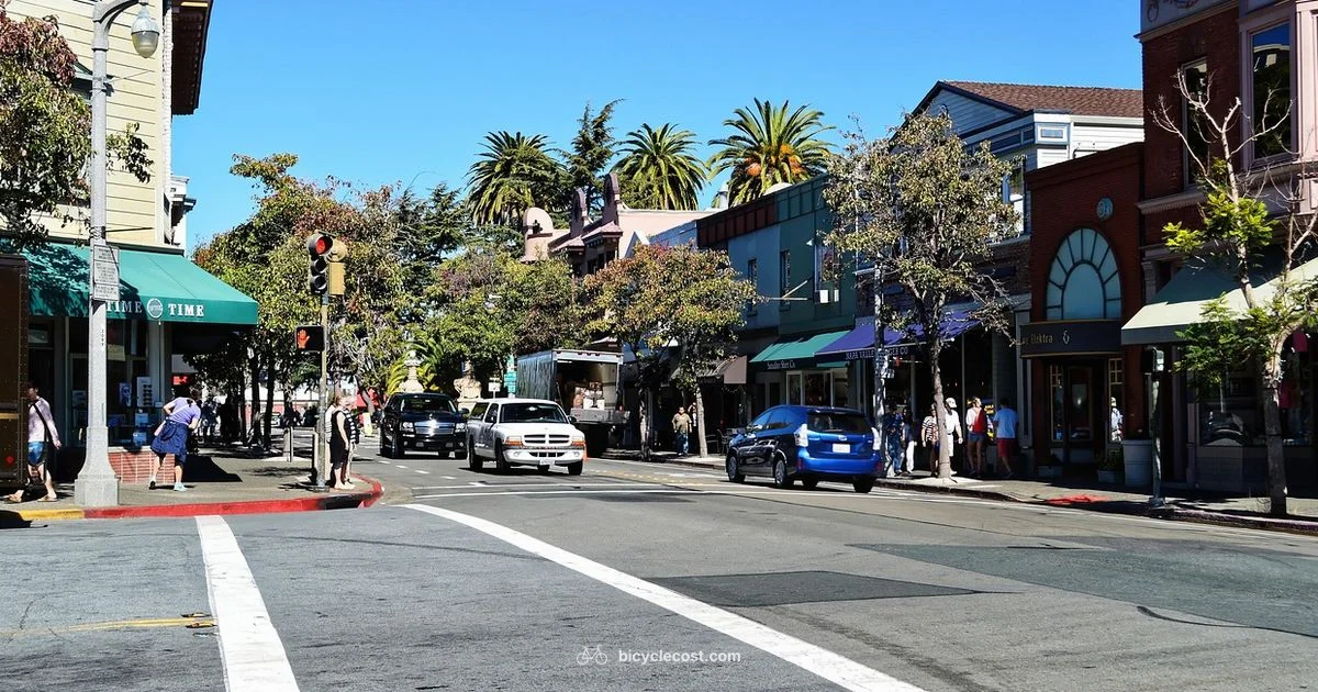 SF Bike Shop Guide SF Bike Shop Guide - BicycleCost
