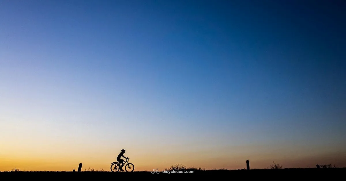 Bike Health Guide - BicycleCost