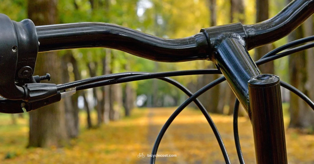 Why Cycling Matters - BicycleCost