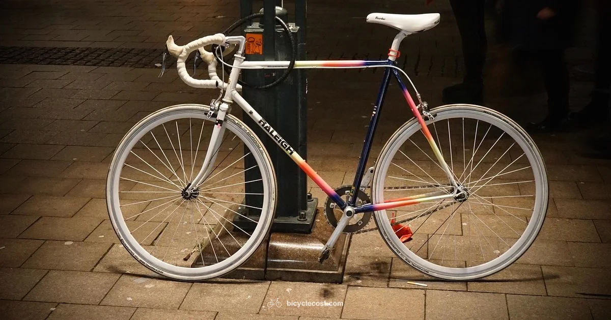 Road Bicycle Guide - BicycleCost