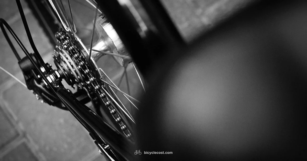 Chain Cleaning Basics - BicycleCost