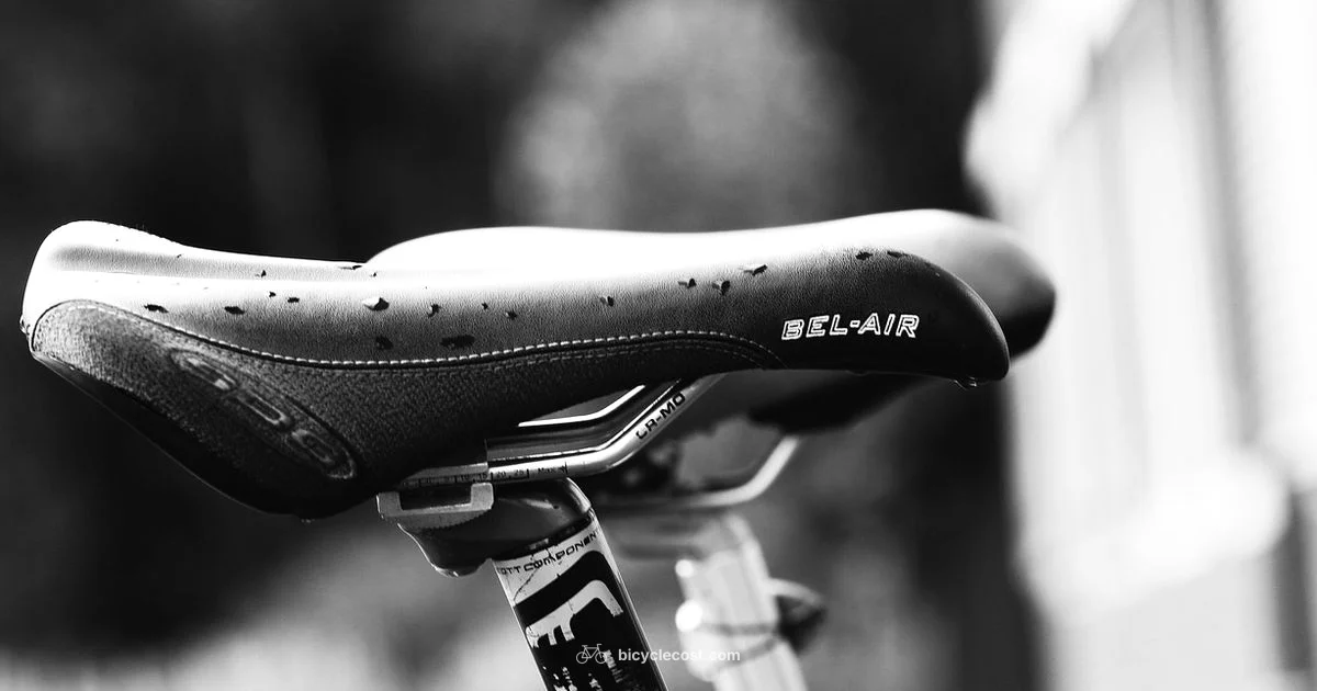 Safe Baby Ride - BicycleCost