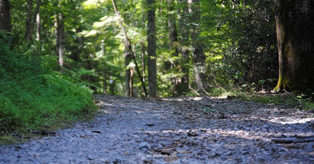 Top Gravel Bikes - BicycleCost