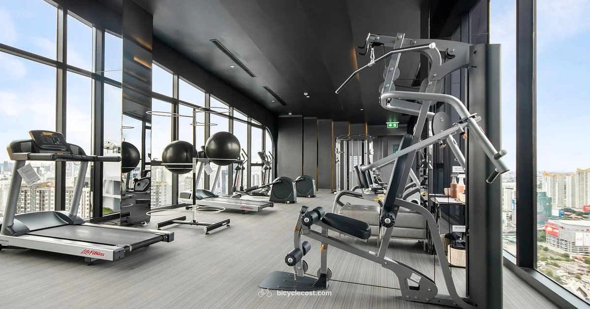 Gym Bike Basics - BicycleCost