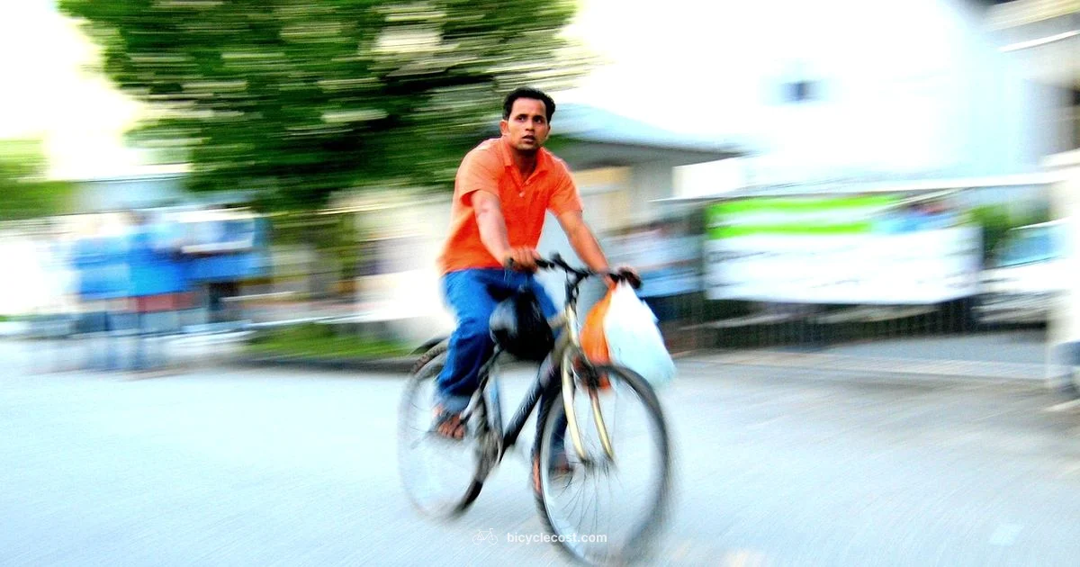 Road Bicycle Guide - BicycleCost