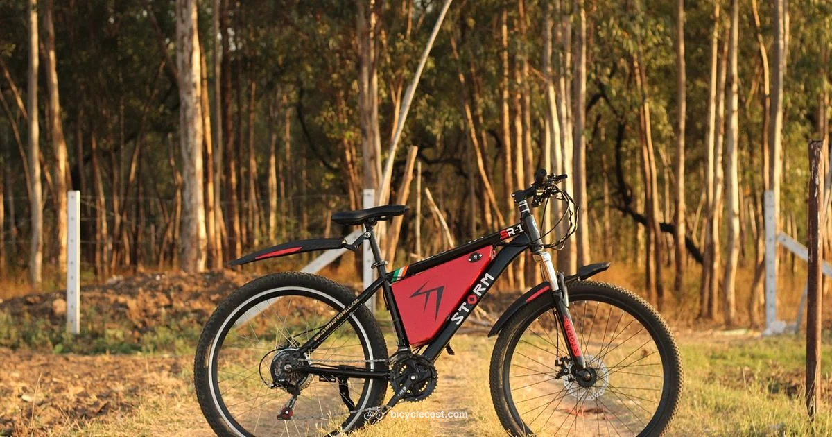 Are E-Bikes Legal? - BicycleCost