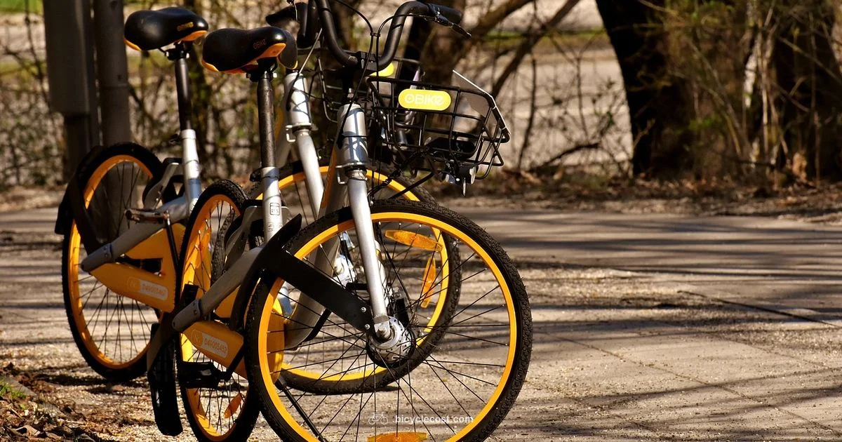 Beachside Rentals Beachside Rentals - BicycleCost