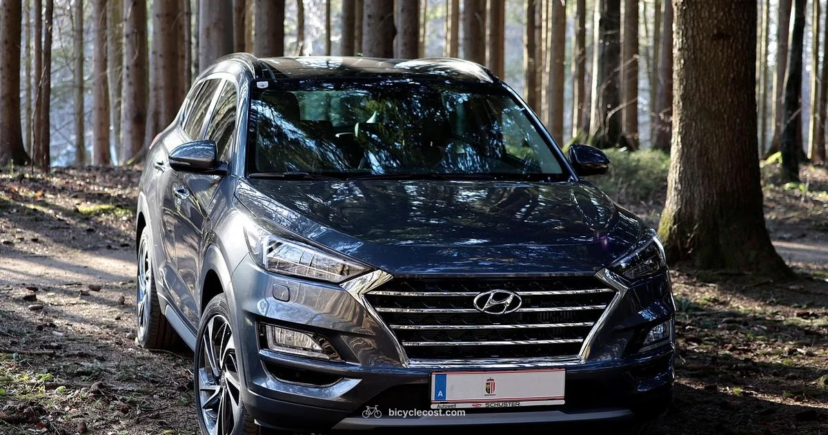 Top Bicycle Carrier - BicycleCost