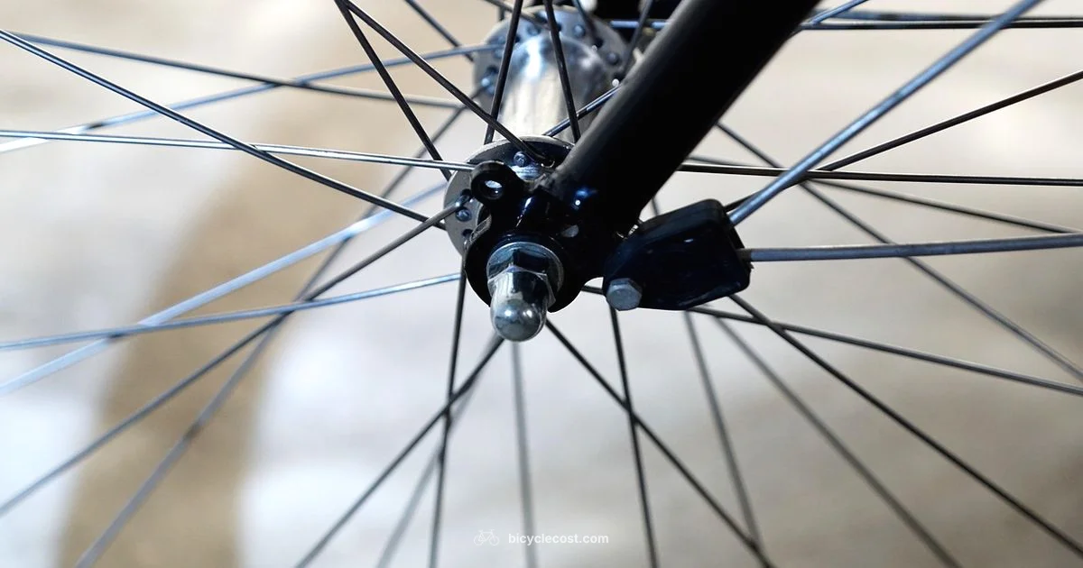 Understanding the Hub - BicycleCost