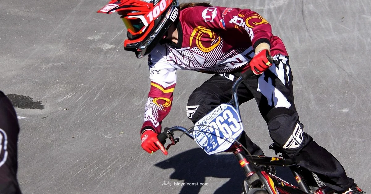 Peg History - BicycleCost