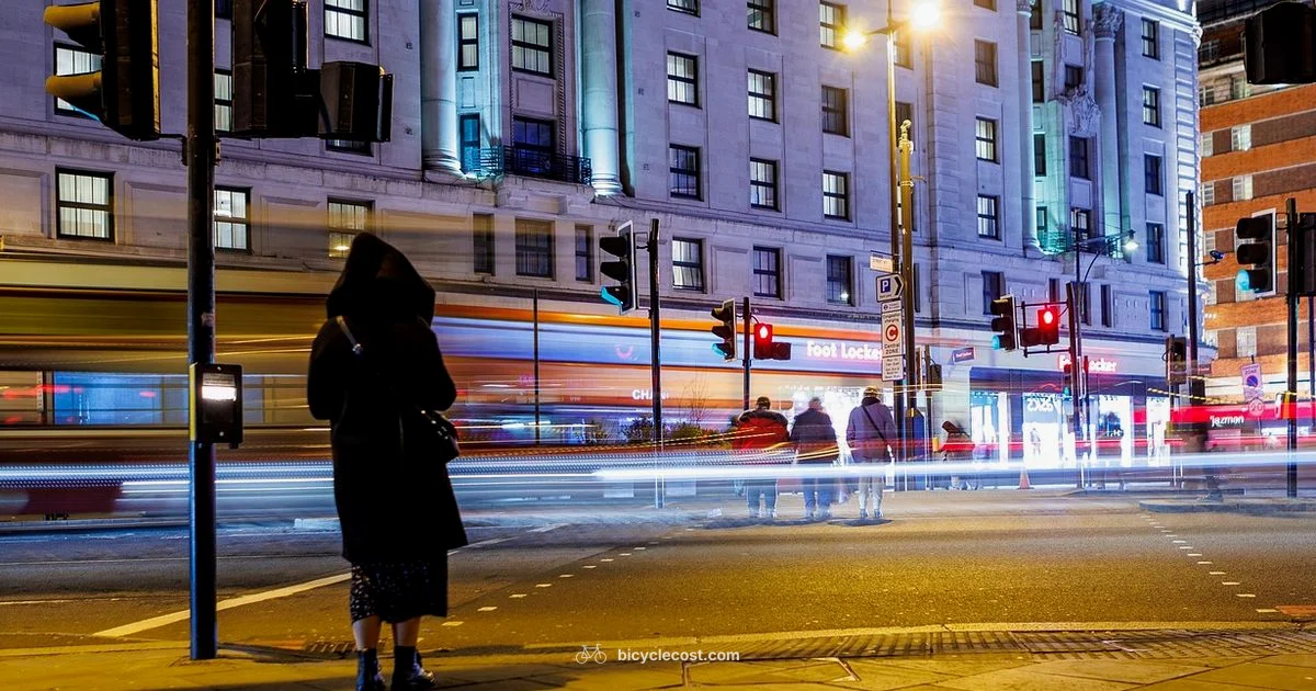 Speed Focused E-Bike - BicycleCost