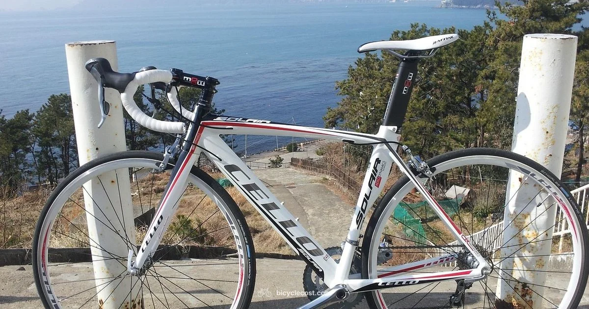 Bike Trailers Guide - BicycleCost