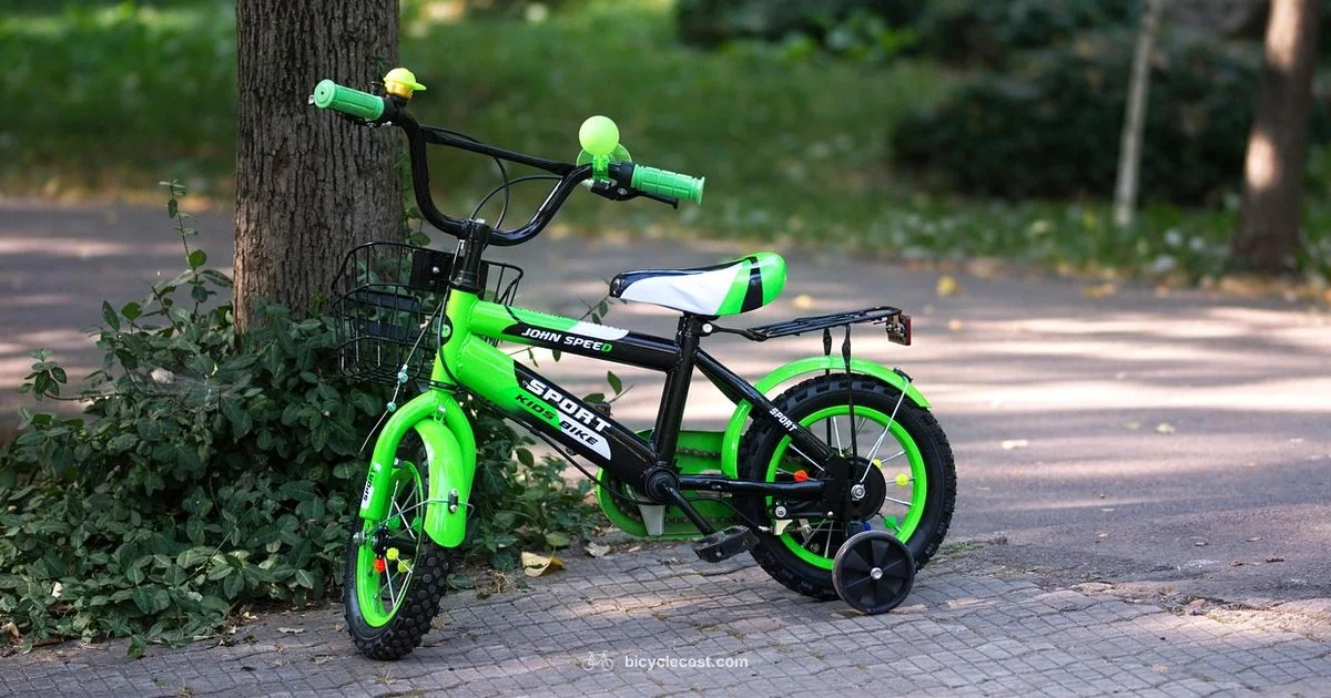 Right-Size Bike - BicycleCost