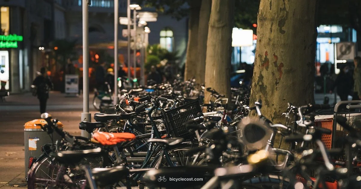 Lock Up Safe - BicycleCost