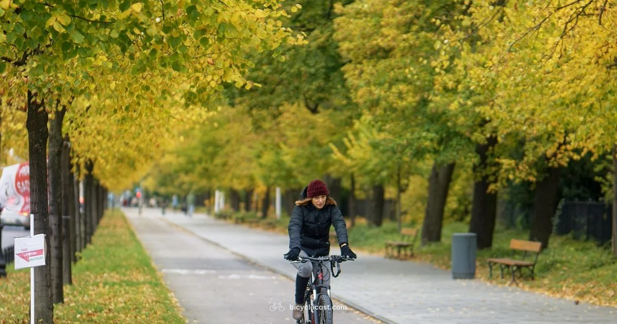 Hybrid Bike Essentials - BicycleCost