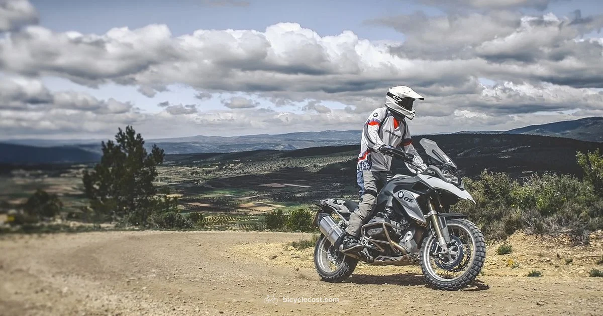 Giant Road Bike Guide - BicycleCost