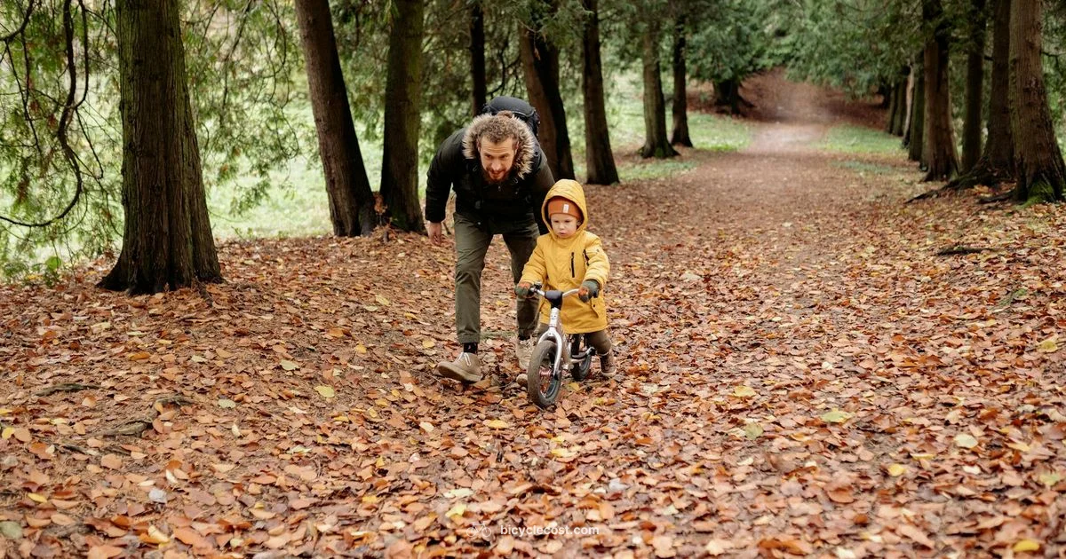 Learn to Ride Safely Learn to Ride Safely - BicycleCost