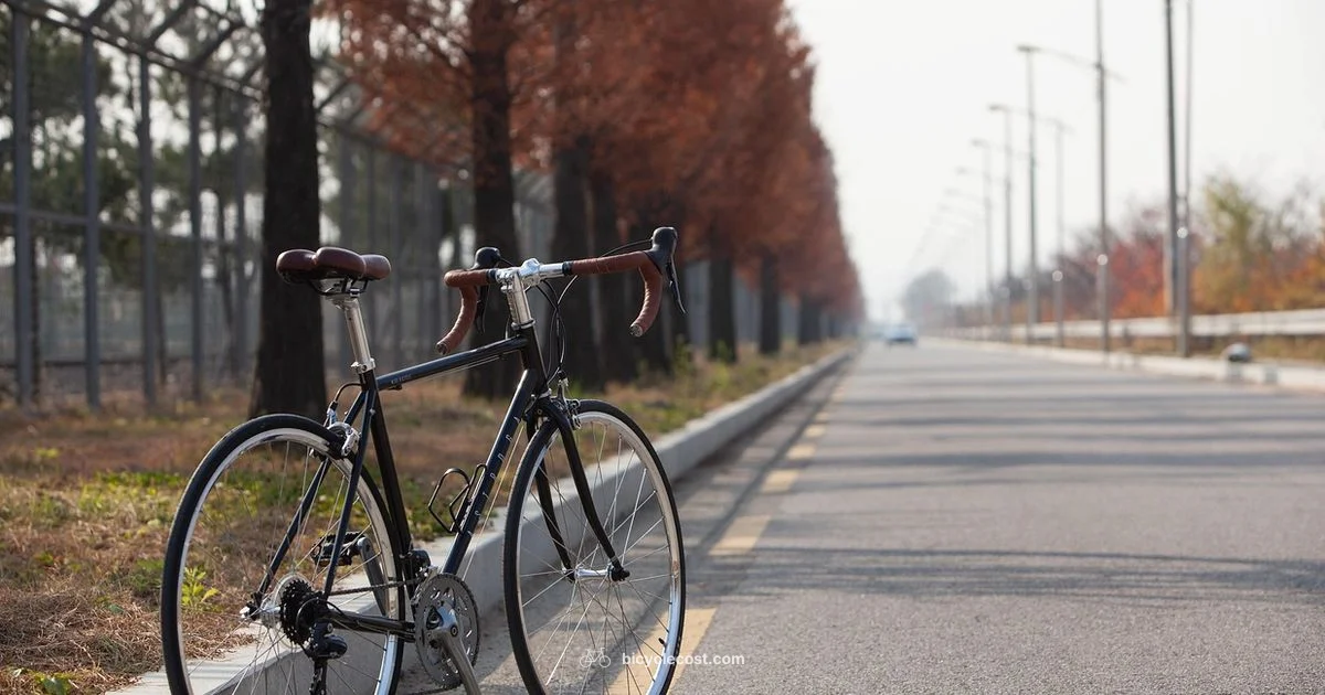 Carbon Bike Guide - BicycleCost