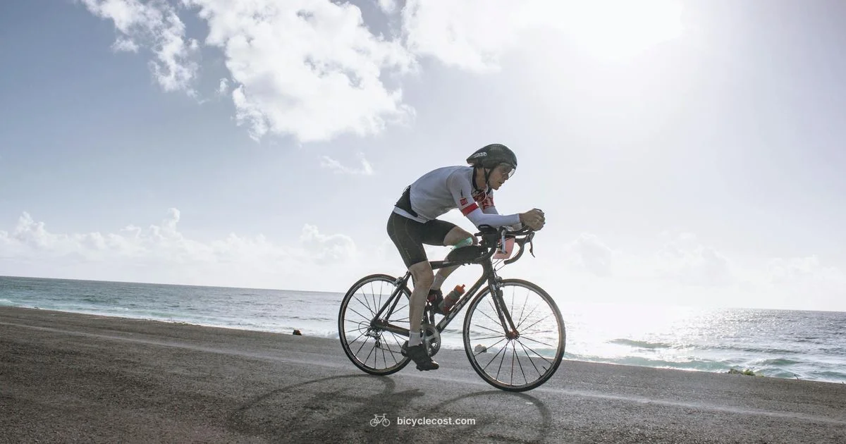 Aero Bike Essentials - BicycleCost