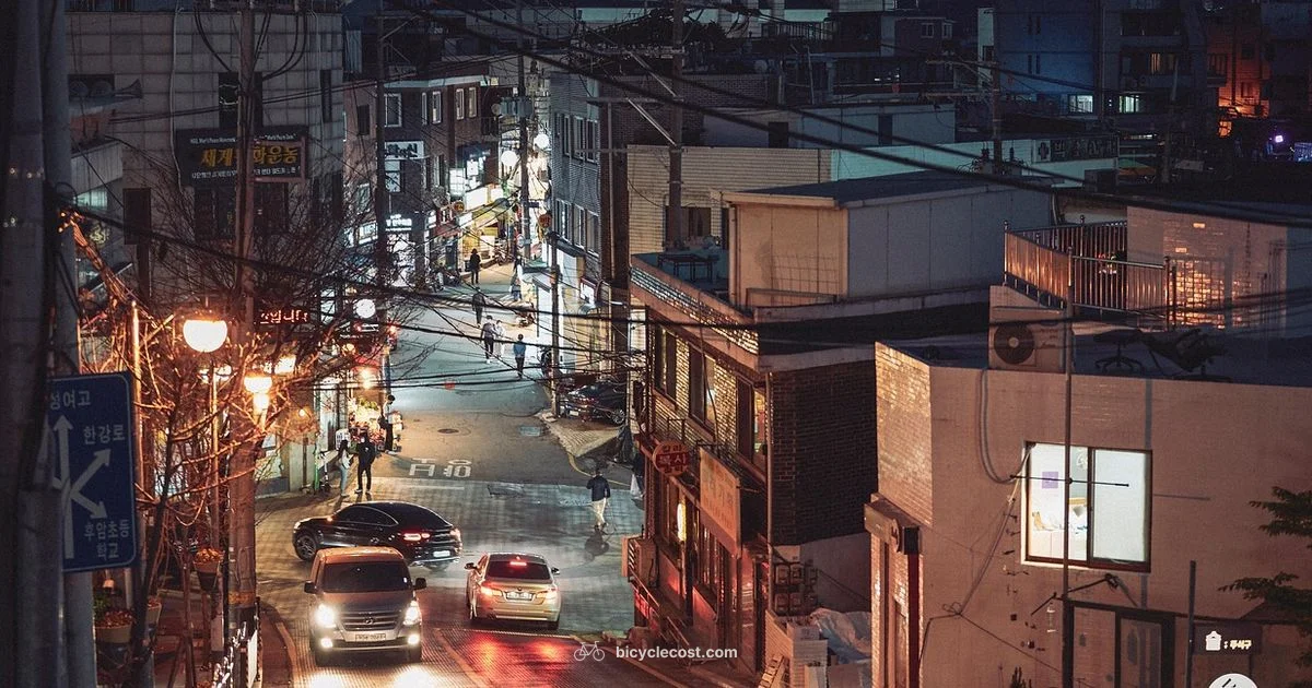 Street Riding Essentials Street Riding Essentials - BicycleCost