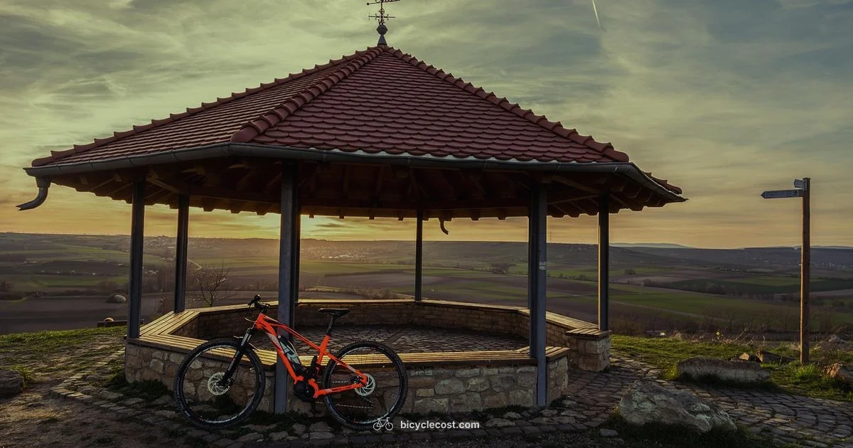 Bike Cost Guide - BicycleCost