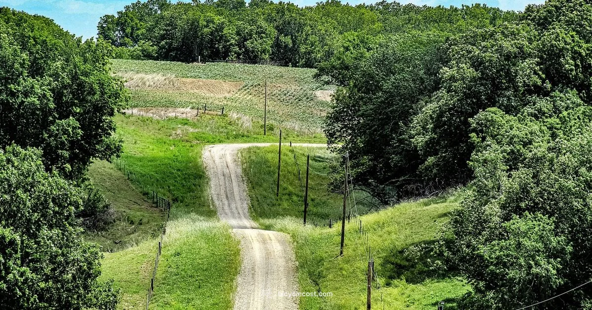 Electric Gravel Guide - BicycleCost