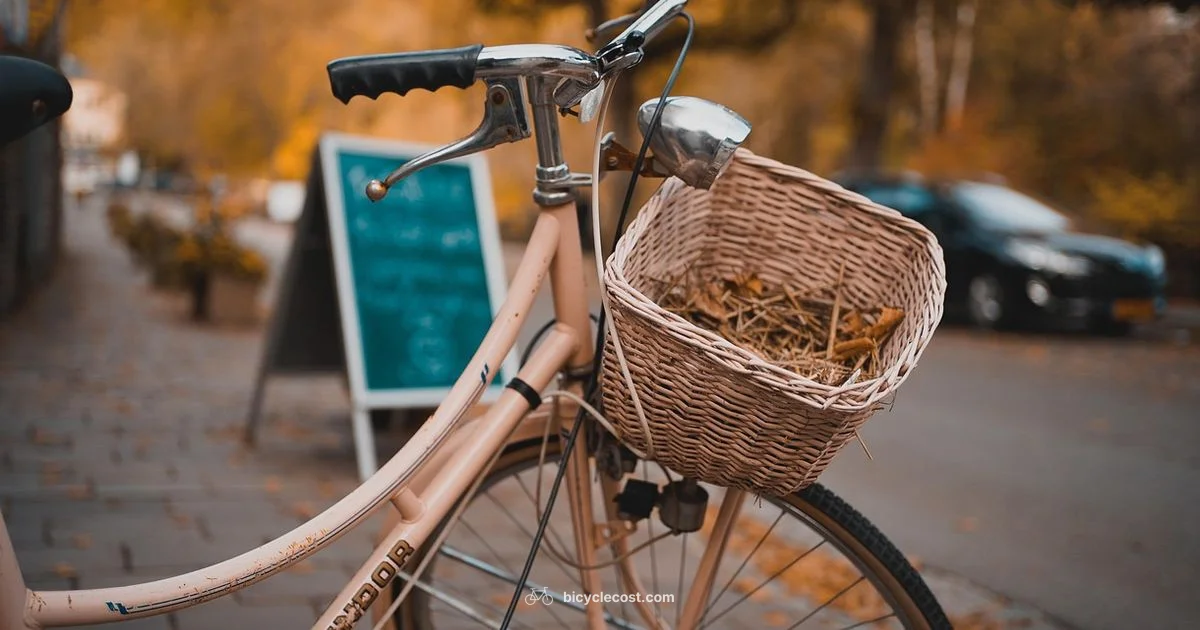 Women Road Bike - BicycleCost