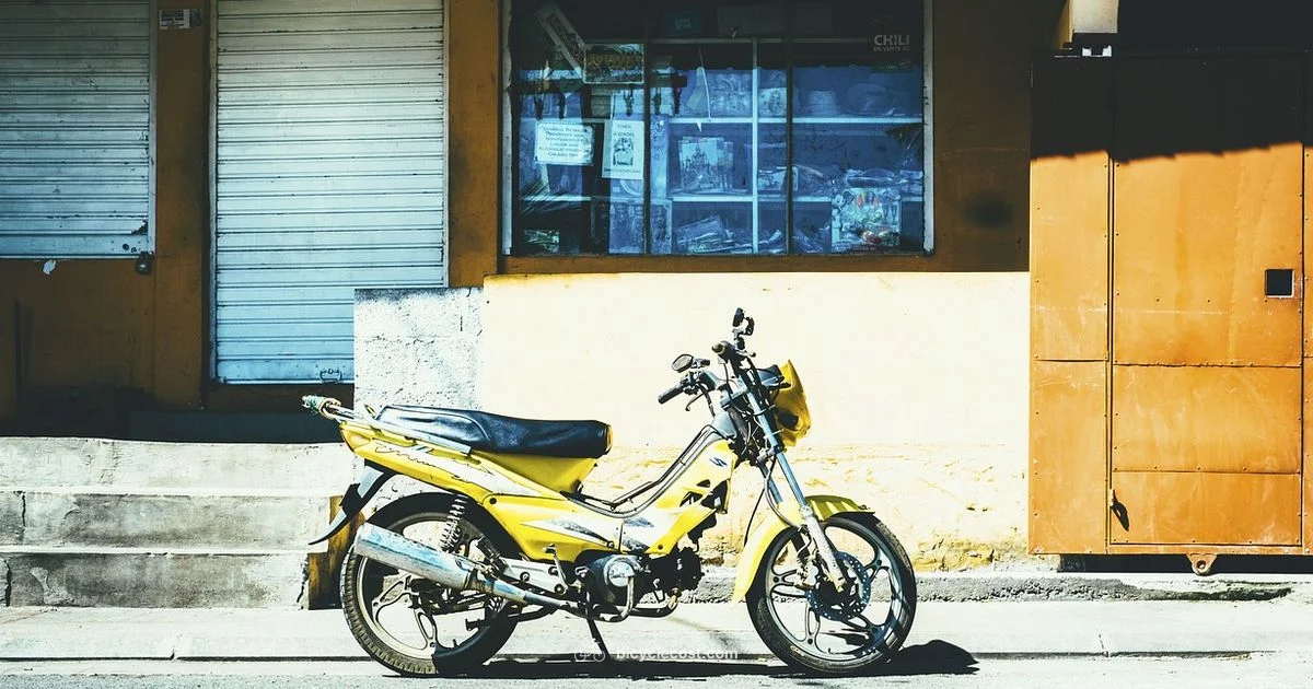 Saddle Fit Essentials - BicycleCost