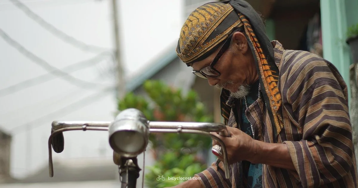 Easy Bicycle Guide - BicycleCost