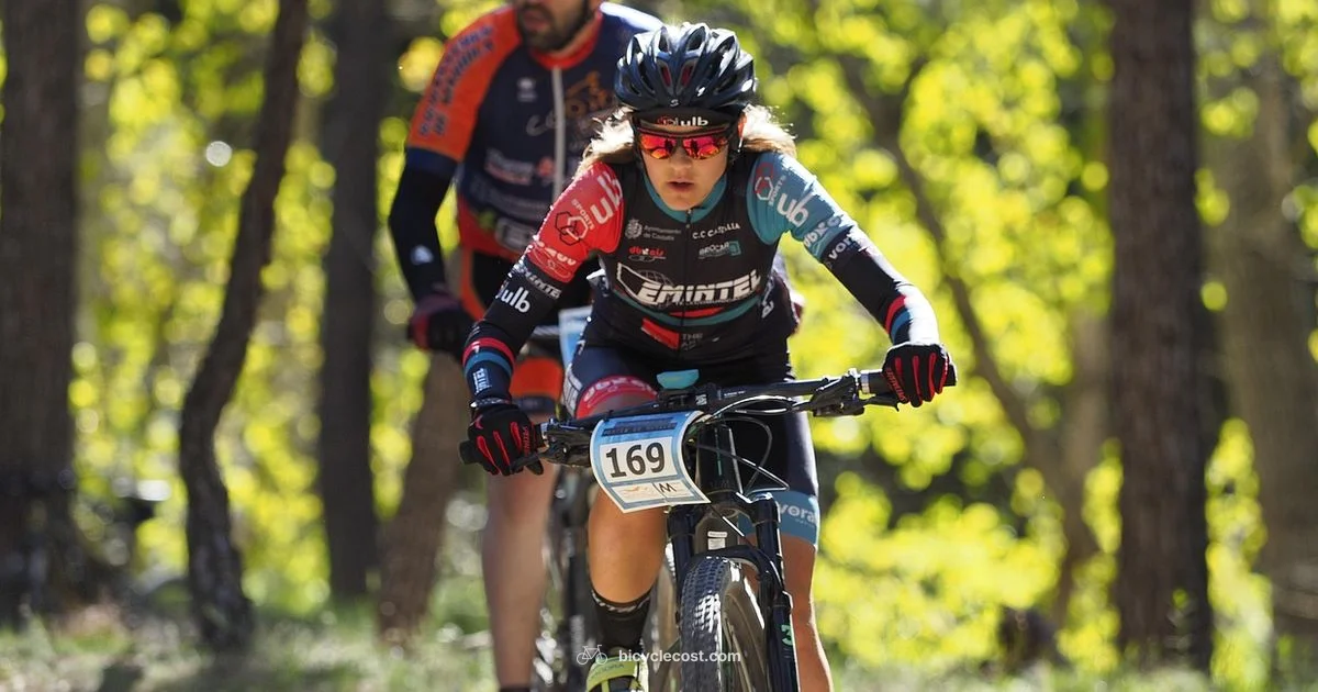 Wheel Truing Guide - BicycleCost