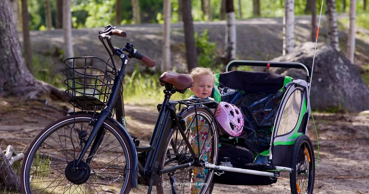 Trailer Setup Tips - BicycleCost