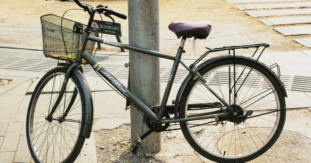 Calf Muscles in Cycling - BicycleCost