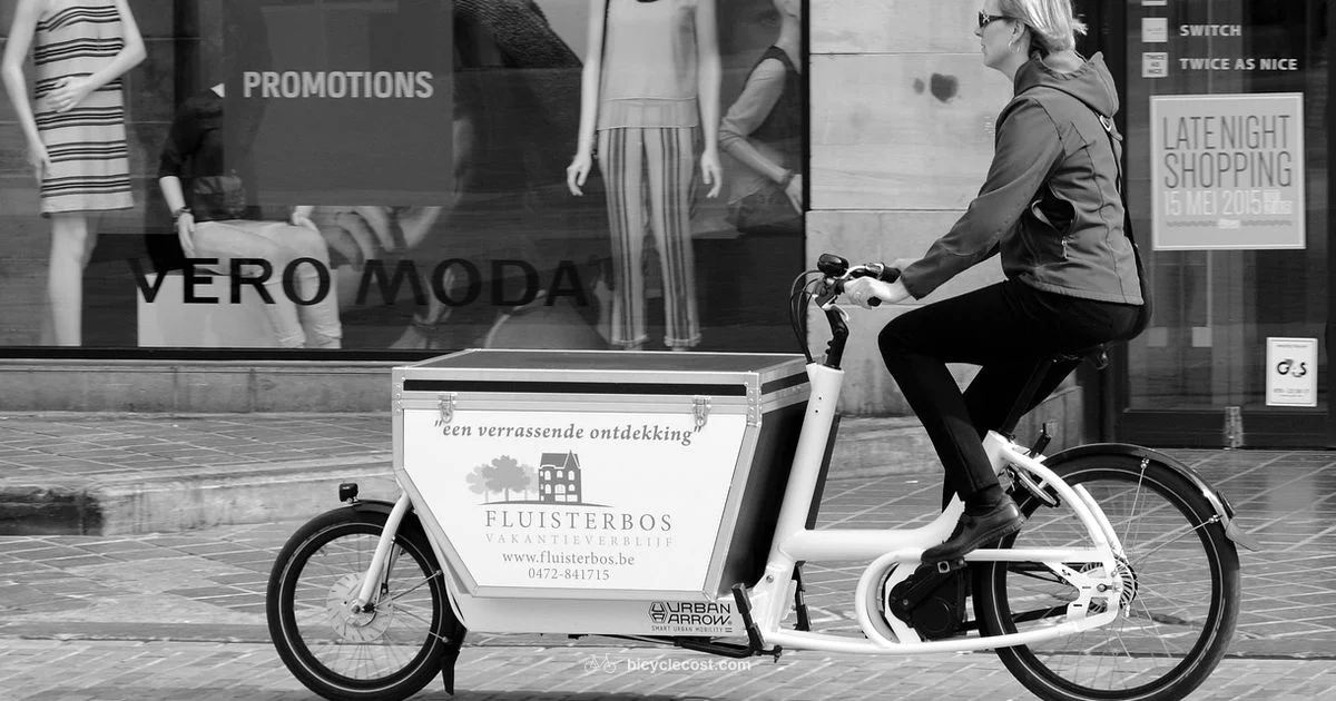 Cargo Bike Essentials - BicycleCost