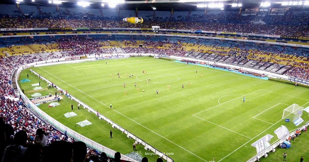 Ronaldo Bicycle Kick - BicycleCost